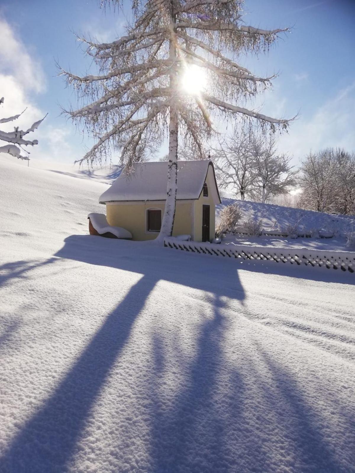 Alpenchalets Oberlaiming Иттер Экстерьер фото